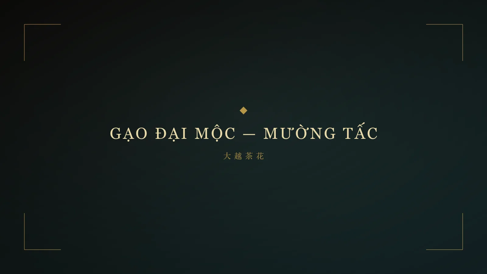 Bao gạo GẠO ĐẠI MỘC — MƯỜNG TẤC với tem truy xuất nguồn gốc
