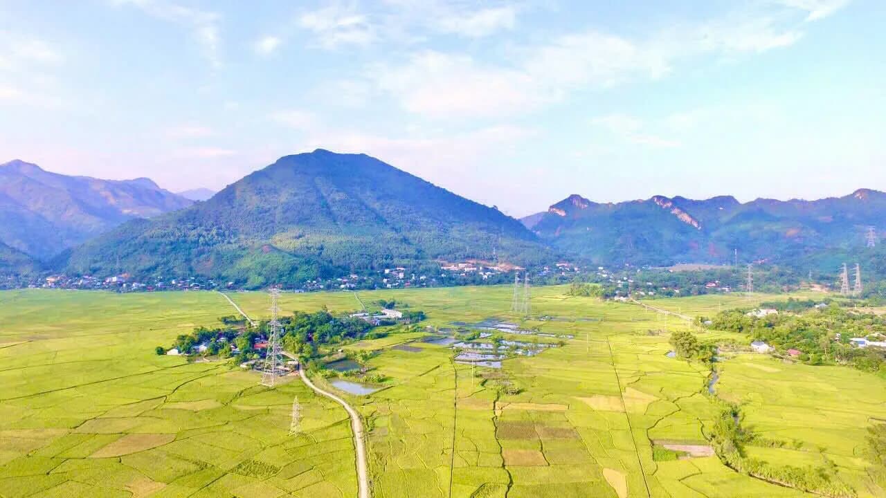 Toàn cảnh lòng chảo Mường Tấc mùa lúa chín nhìn từ trên cao, Sơn La